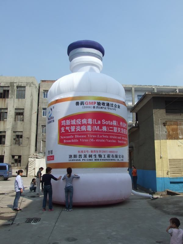 东河镇广告宣传气模